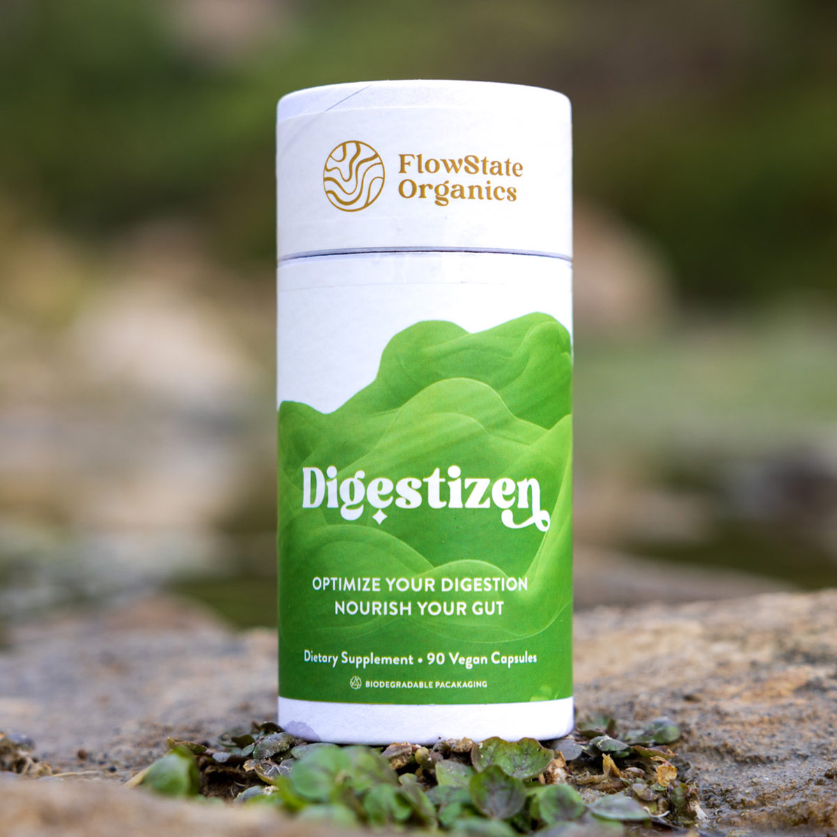 digestizen supplements for gut health by flowstate organic